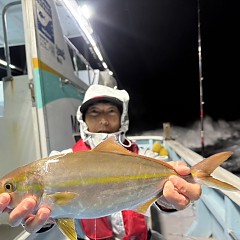 11月 9日(日)午後便・ウタセ真鯛の写真その5