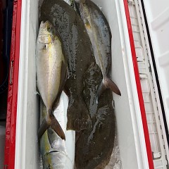 11月9日（日）午前便・ヒラメ釣りの写真その8