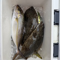 11月9日（日）午前便・ヒラメ釣りの写真その9