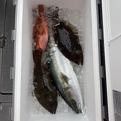 11月9日（日）午前便・ヒラメ釣りの写真その10