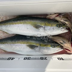 11月 10日（月）午前便・ヒラメ釣りの写真その12