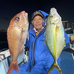 11月 11日（火）午前便・ウタセ真鯛の写真その1