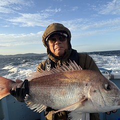11月 11日（火）午前便・ウタセ真鯛の写真その2