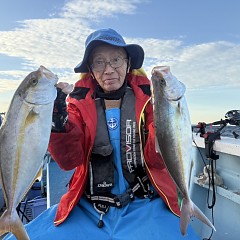 11月 11日（火）午前便・ウタセ真鯛の写真その3