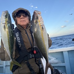 11月 11日（火）午前便・ウタセ真鯛の写真その4