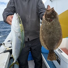 11月 12日（水）午前便・ヒラメ釣りの写真その7
