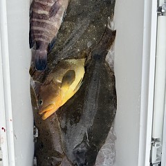 11月 12日（水）午前便・ヒラメ釣りの写真その10