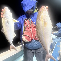 111月 12日（水）午後便・ウタセ真鯛の写真その1