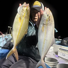 111月 12日（水）午後便・ウタセ真鯛の写真その2