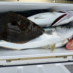 11月 13日（木）午前便・ヒラメ釣りの写真その11