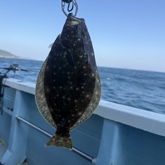 11月 14日(金)午前便・ヒラメ釣りの写真その4