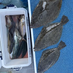 11月 14日(金)午前便・ヒラメ釣りの写真その5