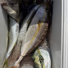 11月 14日(金)午前便・ヒラメ釣りの写真その6