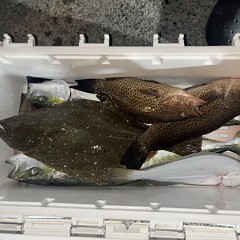 11月 14日（金）午後便・ヒラメ釣りの写真その1