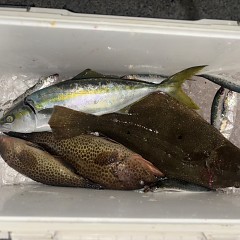 11月 14日(金)午後便・ヒラメ釣りの写真その2