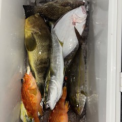 11月 14日(金)午後便・ヒラメ釣りの写真その3