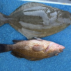 11月 15日（土）午後便・ヒラメ釣りの写真その8