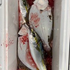 11月15日(土)午後便・ヒラメ釣りの写真その9