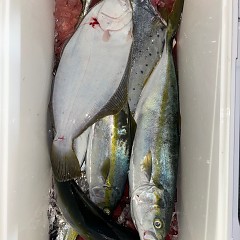 11月15日(土)午後便・ヒラメ釣りの写真その11