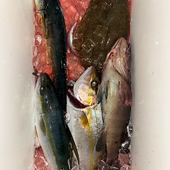 11月15日(土)午後便・ヒラメ釣りの写真その12