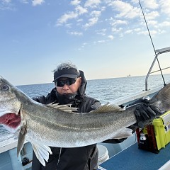 11月 17日(月 1日便・泳がせ釣りの写真その8