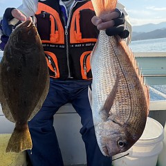 11月 17日(月 1日便・泳がせ釣りの写真その9