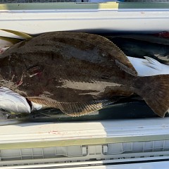 11月 17日(月 1日便・泳がせ釣りの写真その12