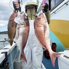 11月 19日（水）一日便・泳がせ釣りの写真その8