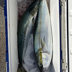 11月19日（水）午前便・イワシの泳がせ釣りの写真その4