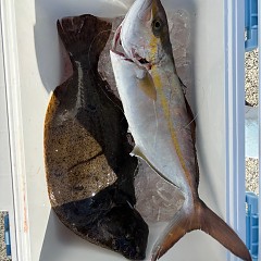 11月19日（水）午前便・イワシの泳がせ釣りの写真その5