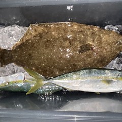 11月 21日（金）午後便・ヒラメ釣りの写真その8