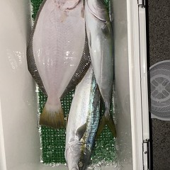 11月 21日（金）午後便・ヒラメ釣りの写真その10