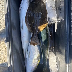 11月22日（土）午前便・ヒラメ釣りの写真その9