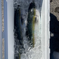 11月22日（土）午前便・ヒラメ釣りの写真その10