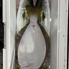 11月22日（土）午後便・ヒラメ釣りの写真その8