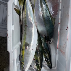 11月22日（土）午後便・ヒラメ釣りの写真その9