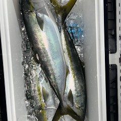 11月22日（土）午後便・ヒラメ釣りの写真その10