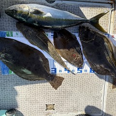 11月 23日（日）午前便・ヒラメ釣りの写真その12