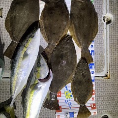 11月 23日(日)午後便・ヒラメ釣りの写真その6