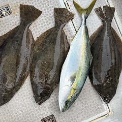 11月 23日(日)午後便・ヒラメ釣りの写真その8