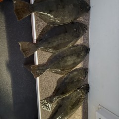 11月 23日(日)午後便・ヒラメ釣りの写真その9