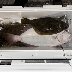 11月 23日(日)午後便・ヒラメ釣りの写真その10