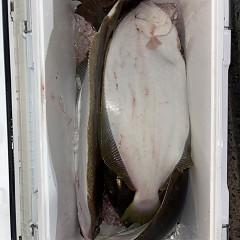 11月 23日(日)午後便・ヒラメ釣りの写真その11
