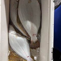 11月 23日(日)午後便・ヒラメ釣りの写真その12