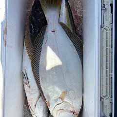 11月23日（日）午前便・ヒラメ釣りの写真その7