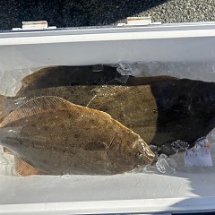 10月24日（月）午前便・ヒラメ釣りの写真その8