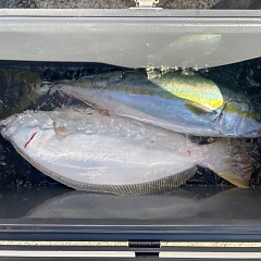 10月24日（月）午前便・ヒラメ釣りの写真その10