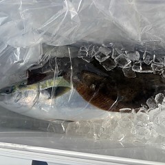 10月24日（月）午前便・ヒラメ釣りの写真その11