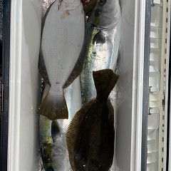 11月24日（月）午後便・ヒラメ釣りの写真その5