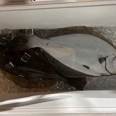 11月24日（月）午後便・ヒラメ釣りの写真その6